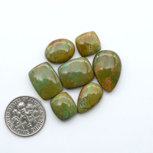 Turquoise Mountain Turquoise cabochons, polished blue and green gemstones with natural matrix on a white background with a US dime for scale