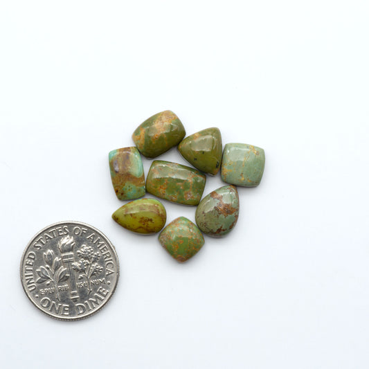 Turquoise Mountain Turquoise cabochons, polished blue and green gemstones with natural matrix on a white background with a US dime for scale