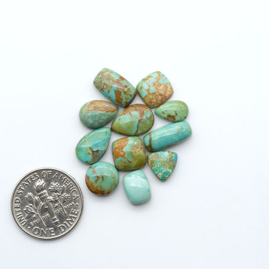 Turquoise Mountain Turquoise cabochons, polished blue and green gemstones with natural matrix on a white background with a US dime for scale