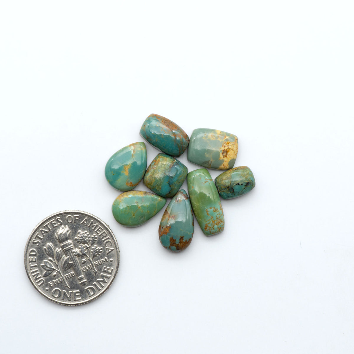 Turquoise Mountain Turquoise cabochons, polished blue and green gemstones with natural matrix on a white background with a US dime for scale