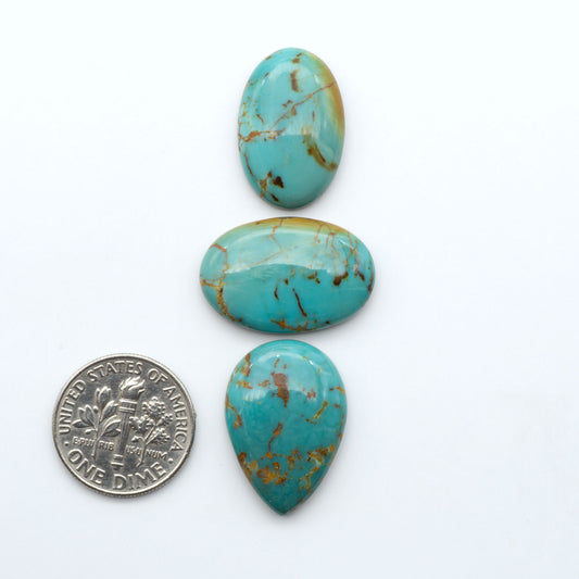 Turquoise Mountain Turquoise cabochons, polished blue and green gemstones with natural matrix on a white background with a US dime for scale