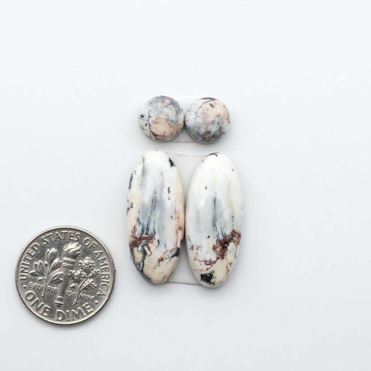 White Buffalo stone cabochons, white stone with black matrix, polished stones on a white background, with a US dime for scale