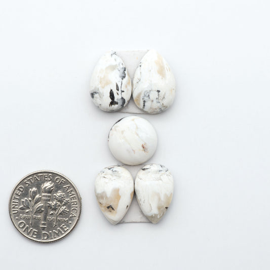 White Buffalo stone cabochons, white stone with black matrix, polished stones on a white background, with a US dime for scale