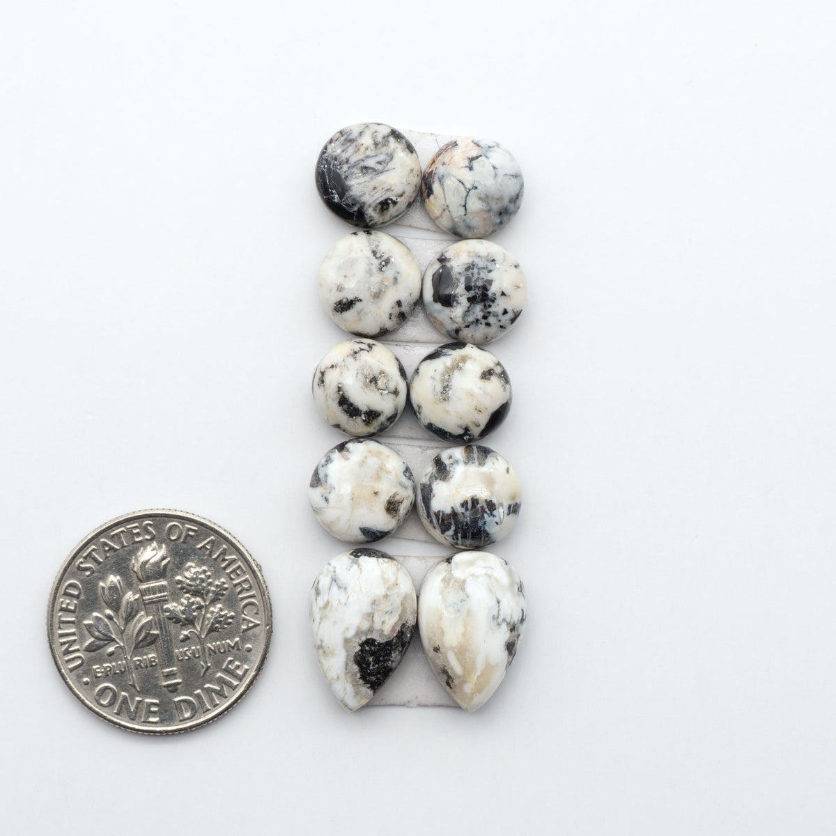 White Buffalo stone cabochons, white stone with black matrix, polished stones on a white background, with a US dime for scale