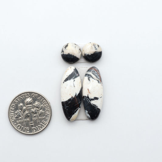 White Buffalo stone cabochons, white stone with black matrix, polished stones on a white background, with a US dime for scale