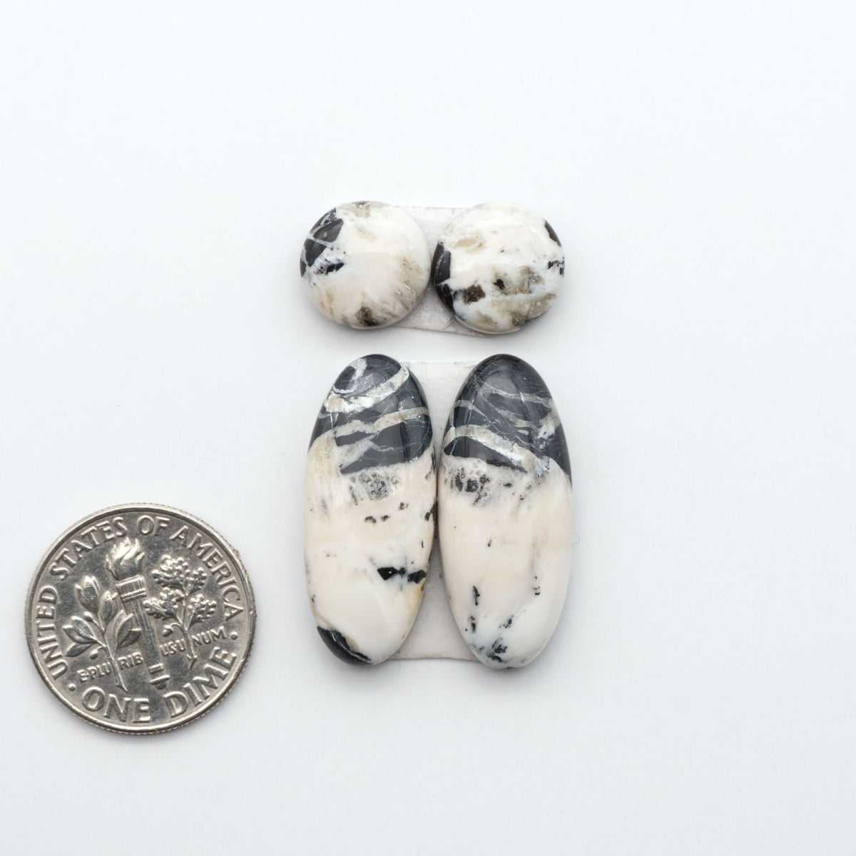 White Buffalo stone cabochons, white stone with black matrix, polished stones on a white background, with a US dime for scale