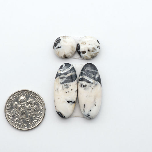 White Buffalo stone cabochons, white stone with black matrix, polished stones on a white background, with a US dime for scale