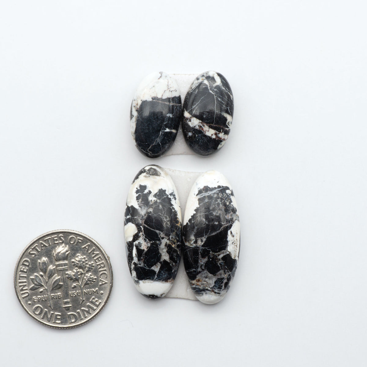 White Buffalo stone cabochons, white stone with black matrix, polished stones on a white background, with a US dime for scale