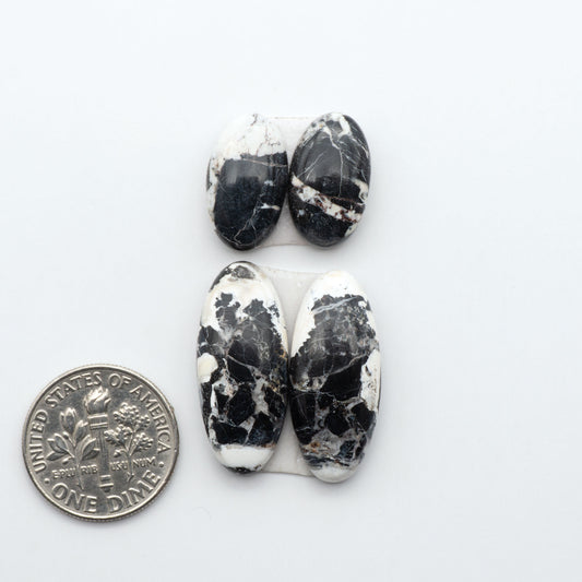 White Buffalo stone cabochons, white stone with black matrix, polished stones on a white background, with a US dime for scale