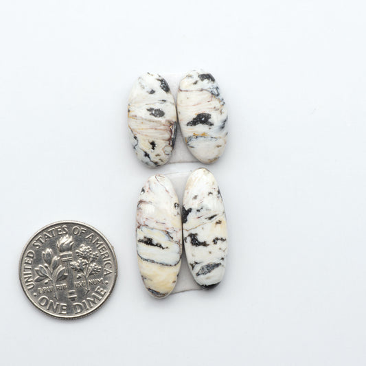 White Buffalo stone cabochons, white stone with black matrix, polished stones on a white background, with a US dime for scale