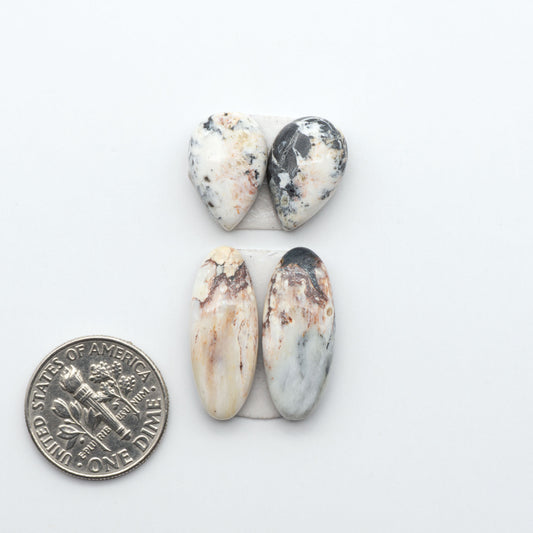 White Buffalo stone cabochons, white stone with black matrix, polished stones on a white background, with a US dime for scale