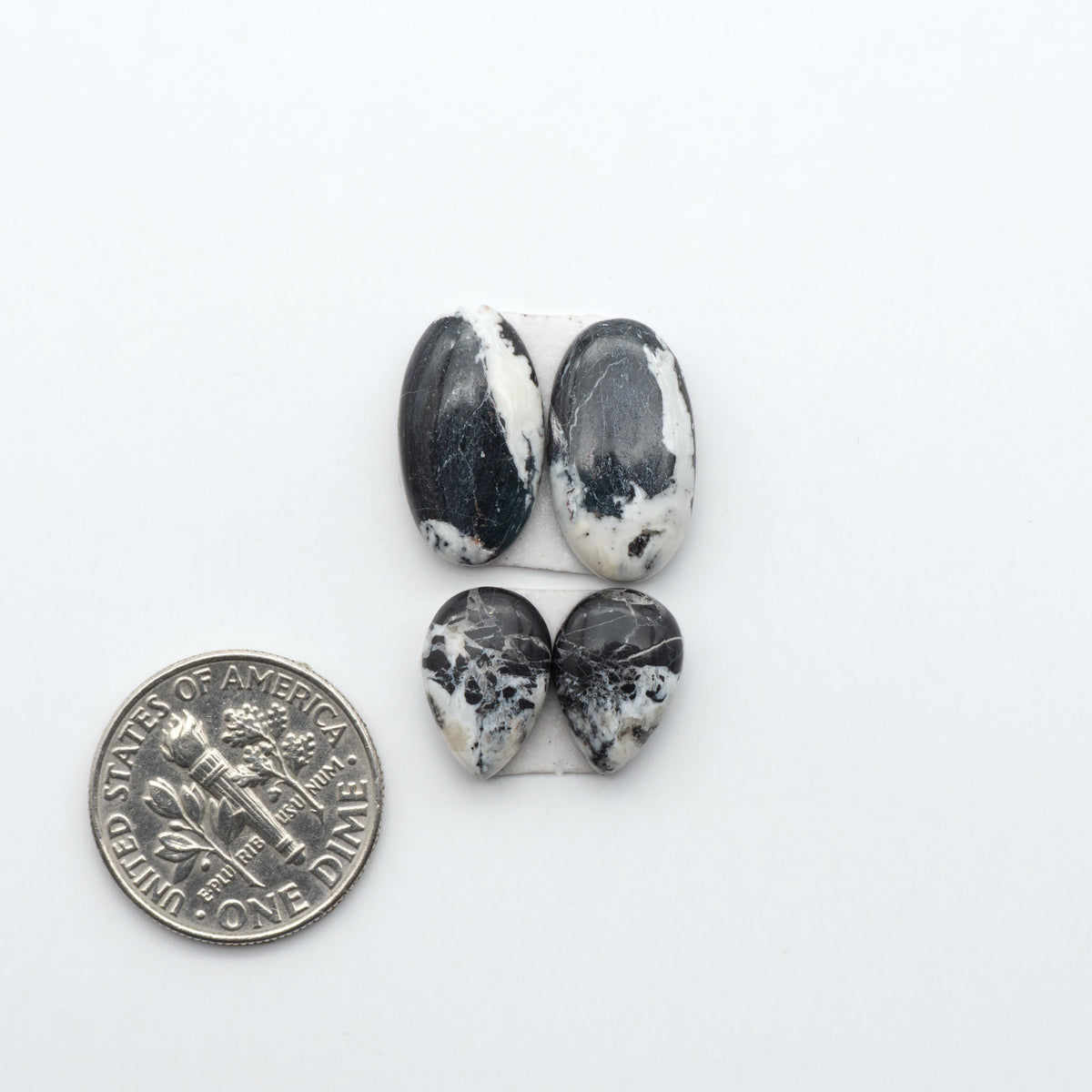 White Buffalo stone cabochons, white stone with black matrix, polished stones on a white background, with a US dime for scale