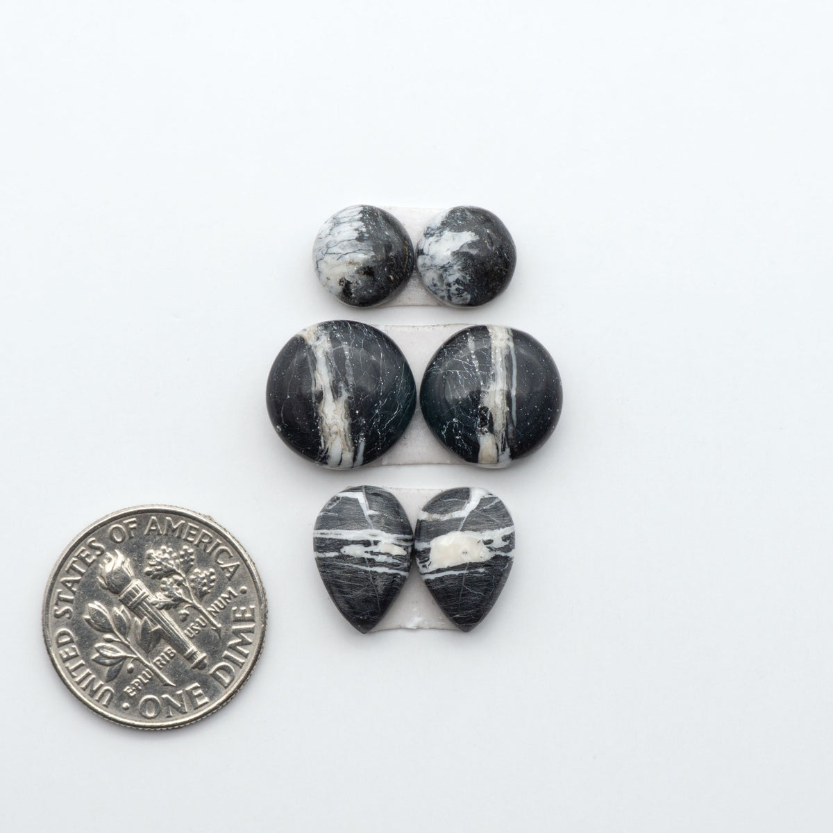 White Buffalo stone cabochons, white stone with black matrix, polished stones on a white background, with a US dime for scale