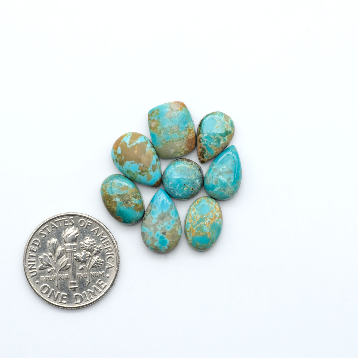 Kings Manassa Turquoise cabochons, polished green-blue gemstones with natural matrix on a white background with a US dime for scale