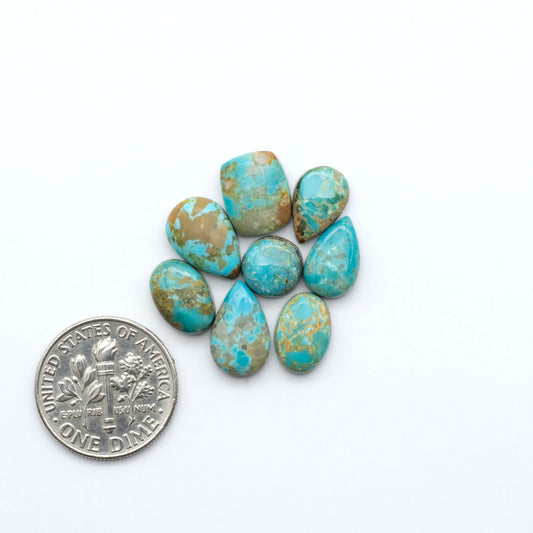 Kings Manassa Turquoise cabochons, polished green-blue gemstones with natural matrix on a white background with a US dime for scale