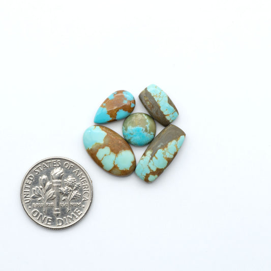 Kings Manassa Turquoise cabochons, polished green-blue gemstones with natural matrix on a white background with a US dime for scale