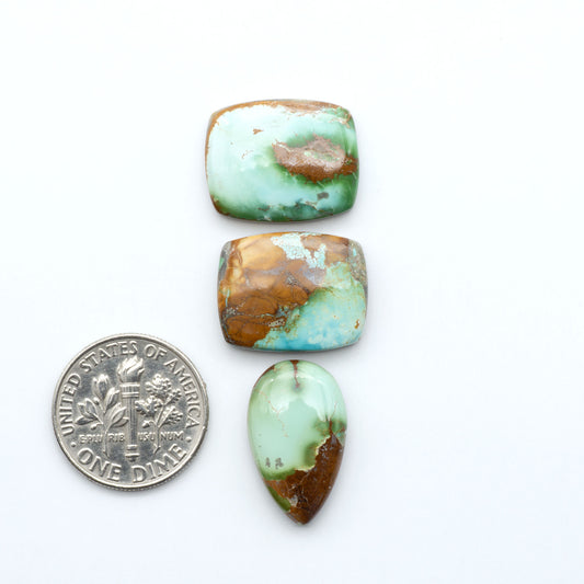 Royston Turquoise cabochons, blue-green color with natural matrix, polished stones on a white background, with a US dime for scale