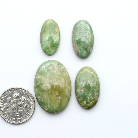 Royston Turquoise cabochons, blue-green color with natural matrix, polished stones on a white background, with a US dime for scale