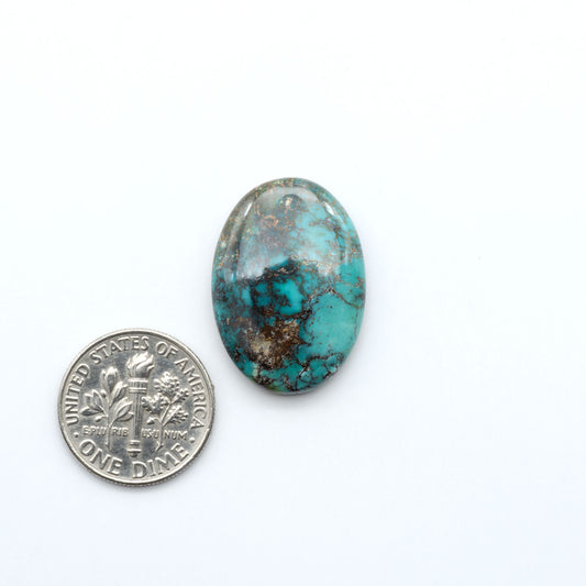 Royston Turquoise cabochons, blue-green color with natural matrix, polished stones on a white background, with a US dime for scale