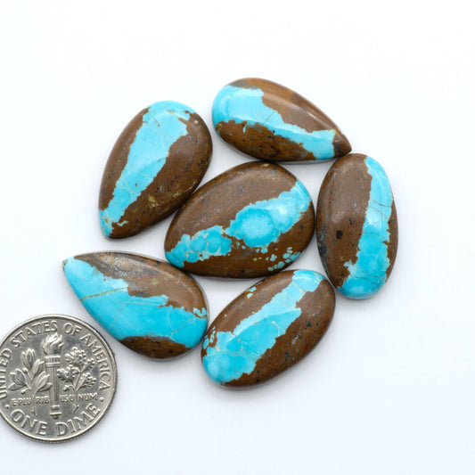 Number 8 Turquoise cabochons, blue and green color with brown matrix, polished stones on a white background, with a US dime for scale