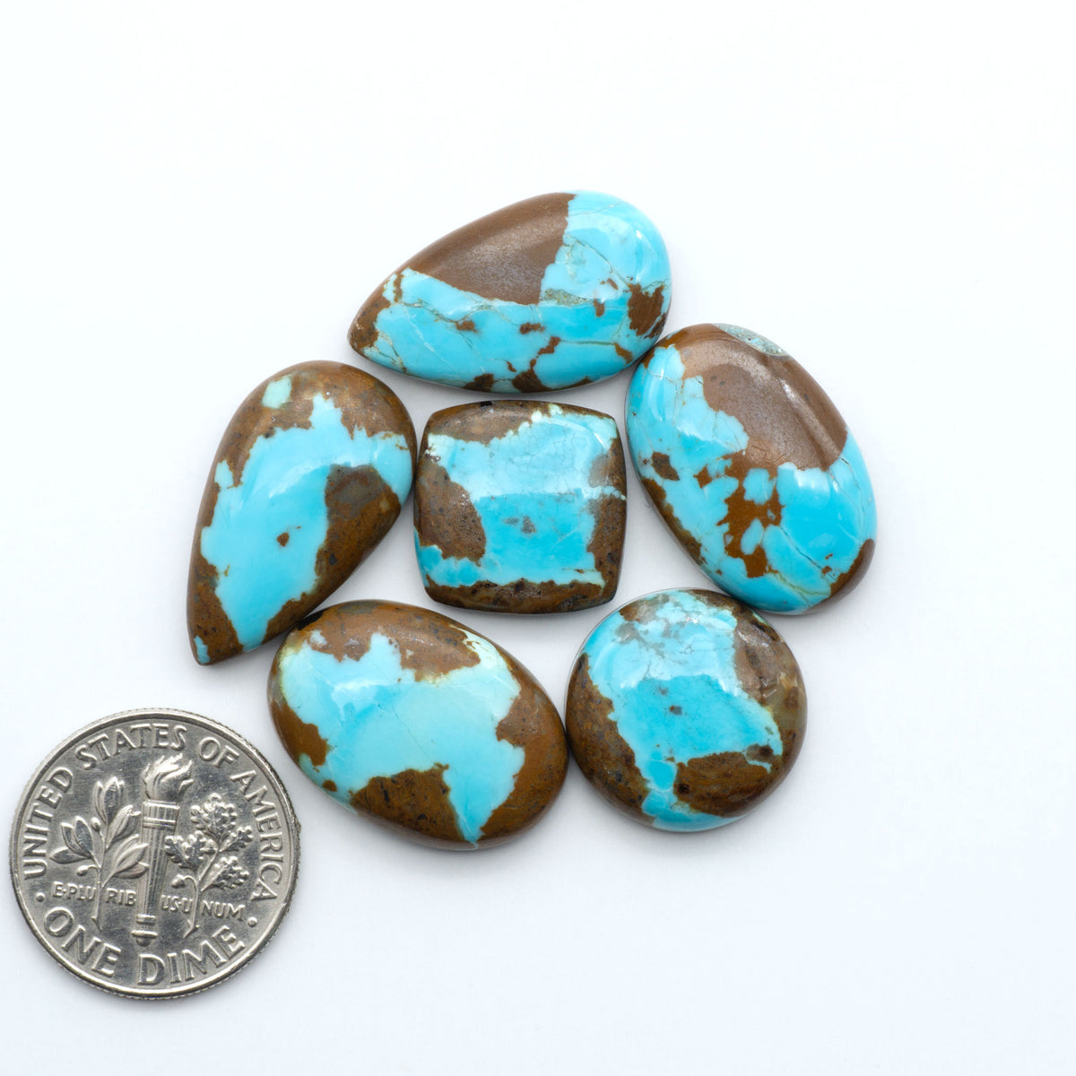 Number 8 Turquoise cabochons, blue and green color with brown matrix, polished stones on a white background, with a US dime for scale