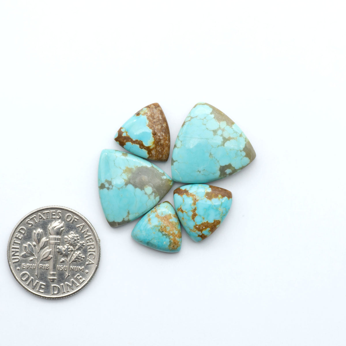 Number 8 Turquoise cabochons, blue and green color with brown matrix, polished stones on a white background, with a US dime for scale