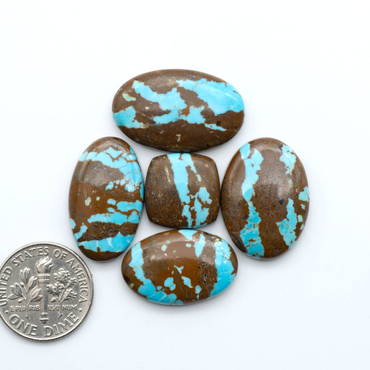 Number 8 Turquoise cabochons, blue and green color with brown matrix, polished stones on a white background, with a US dime for scale