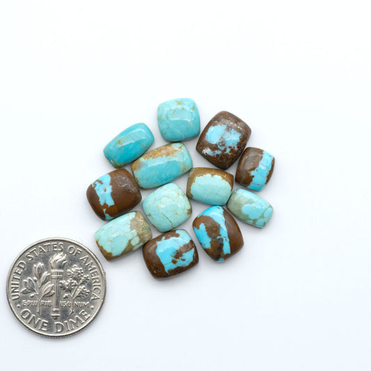 Number 8 Turquoise cabochons, blue and green color with brown matrix, polished stones on a white background, with a US dime for scale