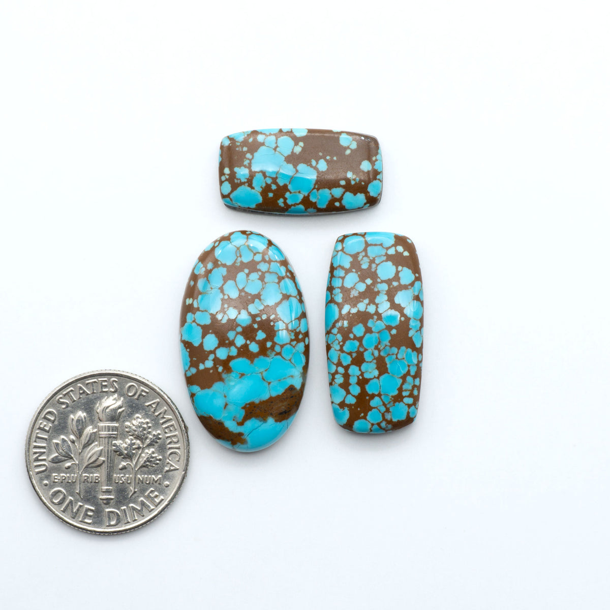 Number 8 Turquoise cabochons, blue and green color with brown matrix, polished stones on a white background, with a US dime for scale
