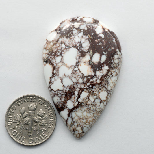 Wild Horse Cabochon