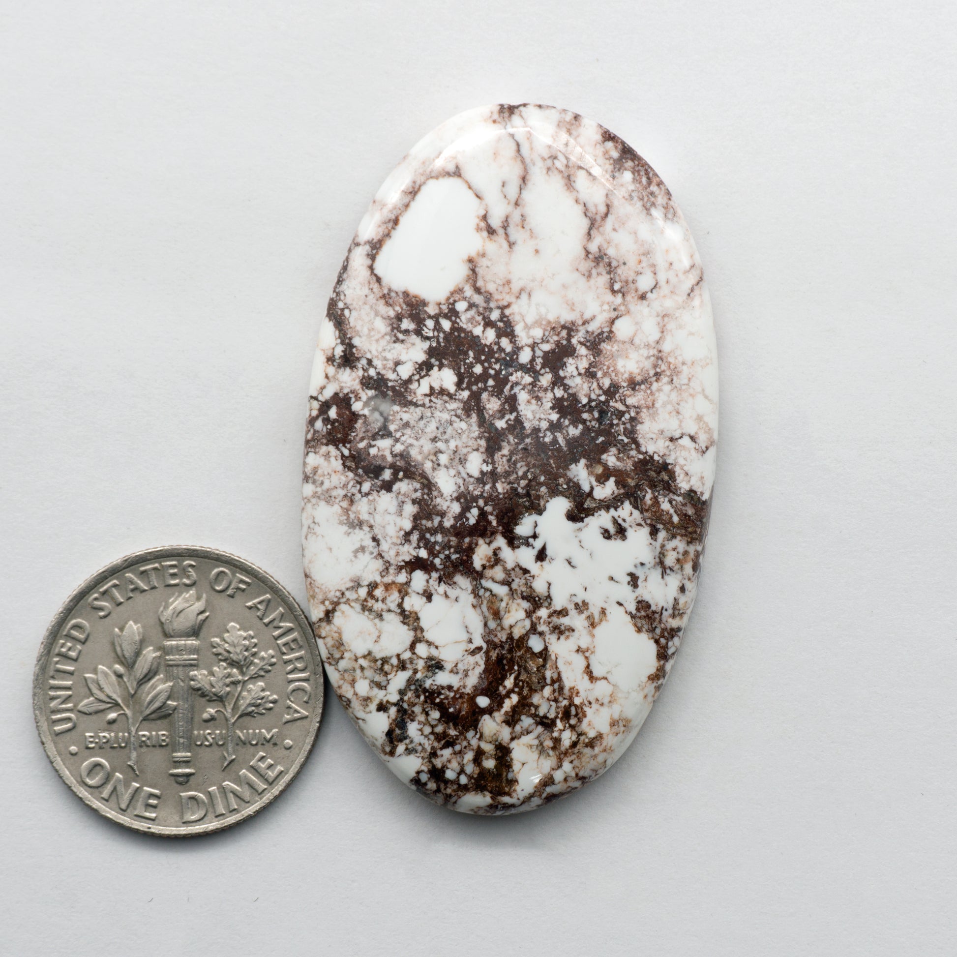Wild Horse Cabochon