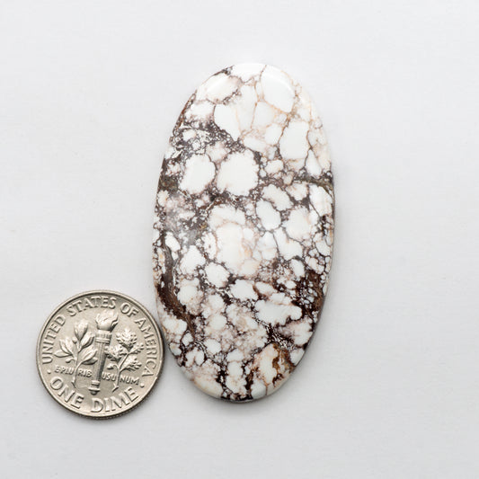 Wild Horse Cabochon