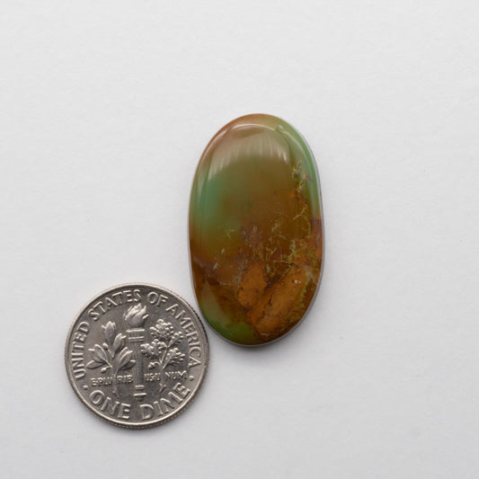 Kings Manassa Turquoise 