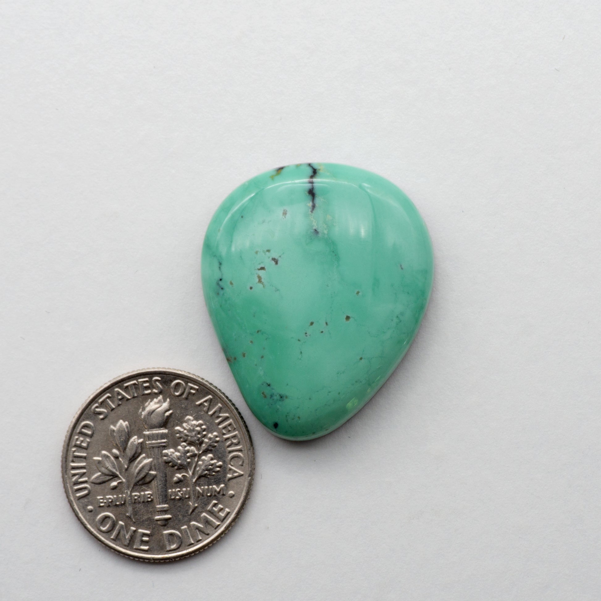 Angel Wing Variscite Cabochon