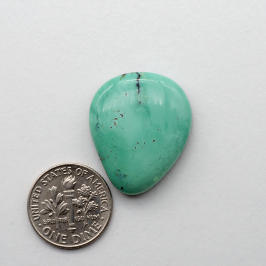 Angel Wing Variscite Cabochon