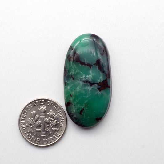 Angel Wing Variscite Cabochon