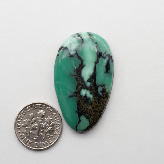 Angel Wing Variscite Cabochon