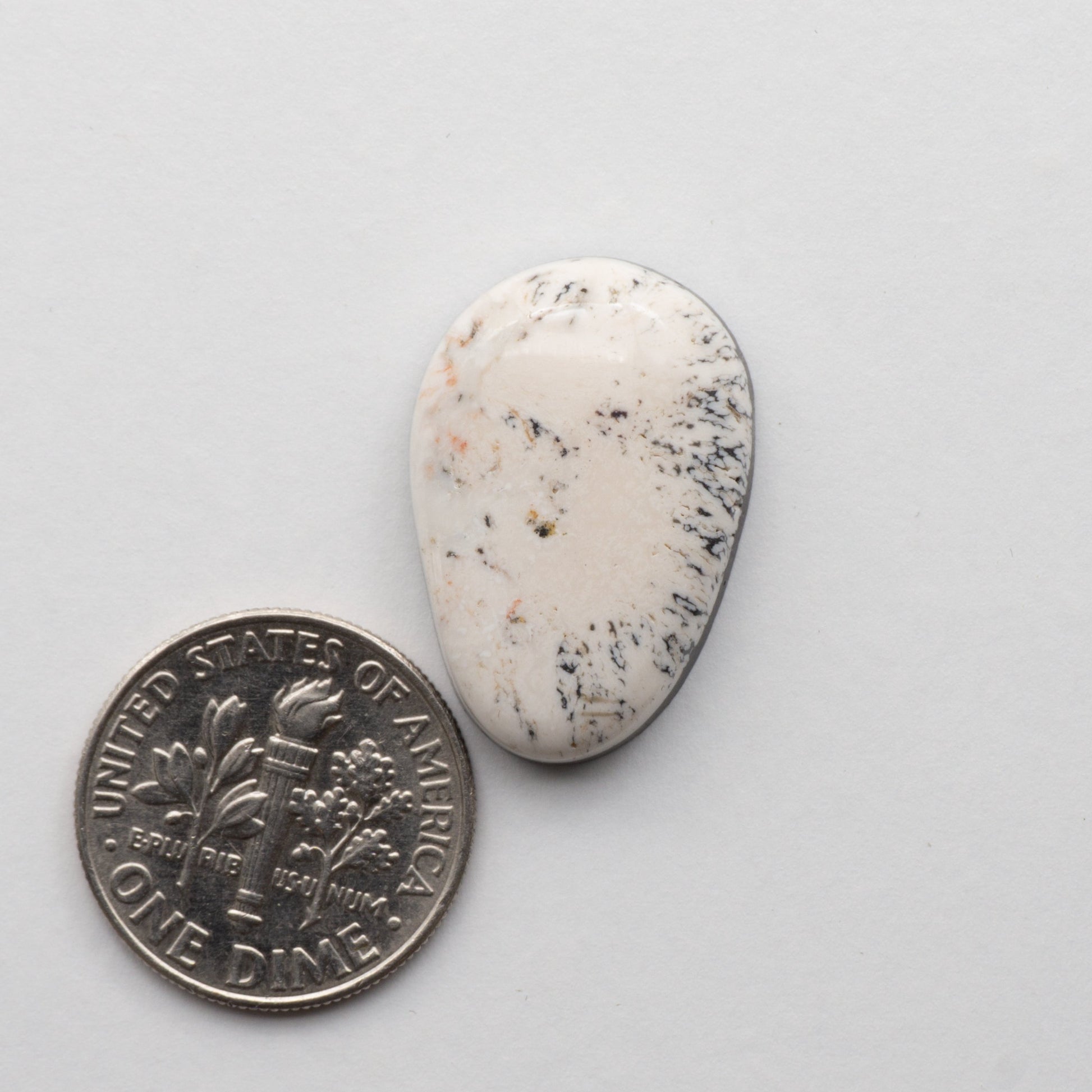 White Buffalo Cabochon