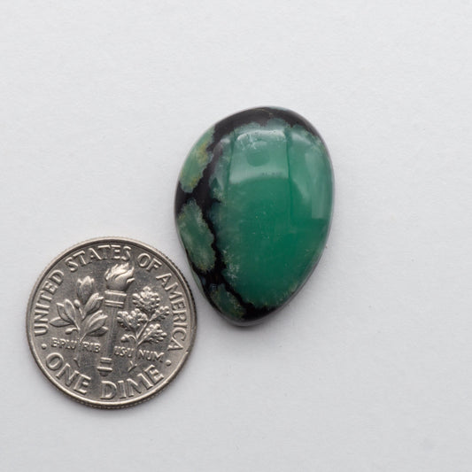 Nevada Variscite Cabochon
