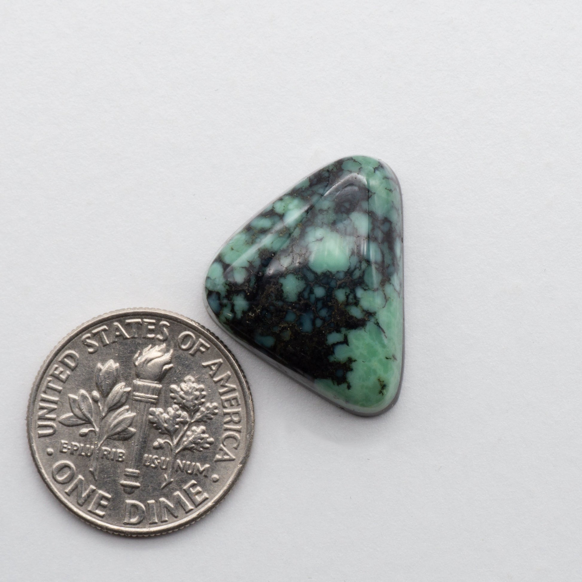 Nevada Variscite Cabochon