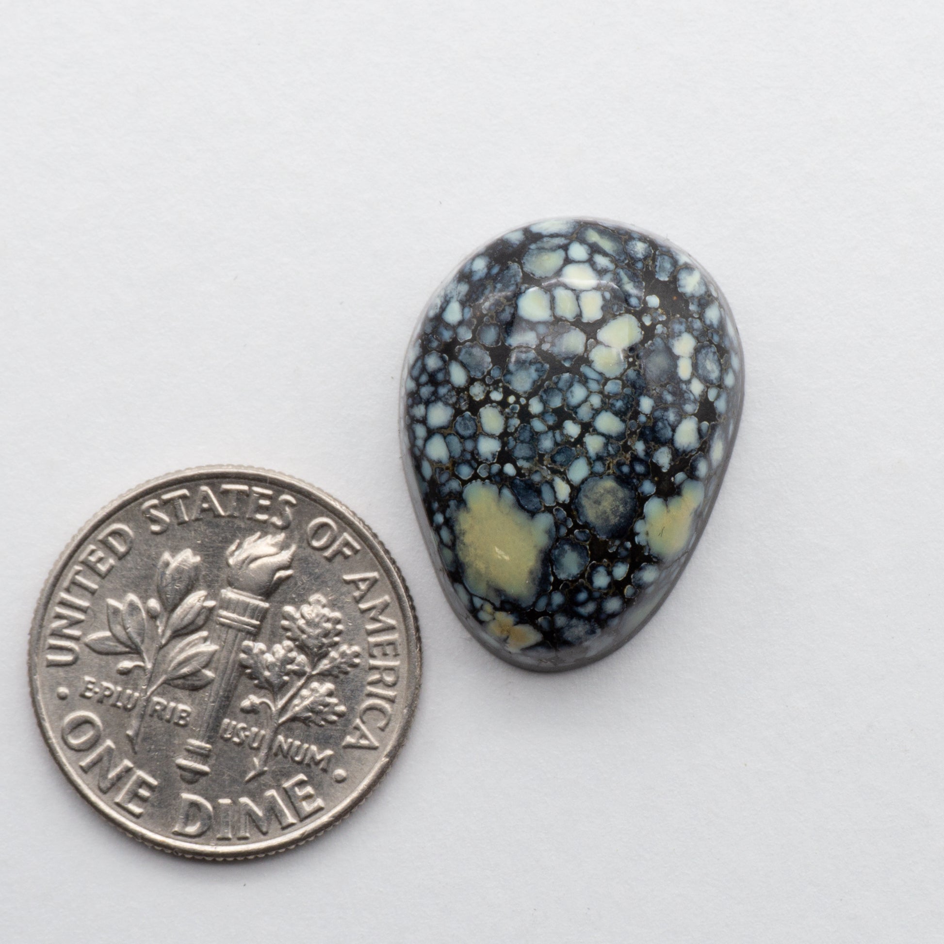 Nevada Variscite Cabochon