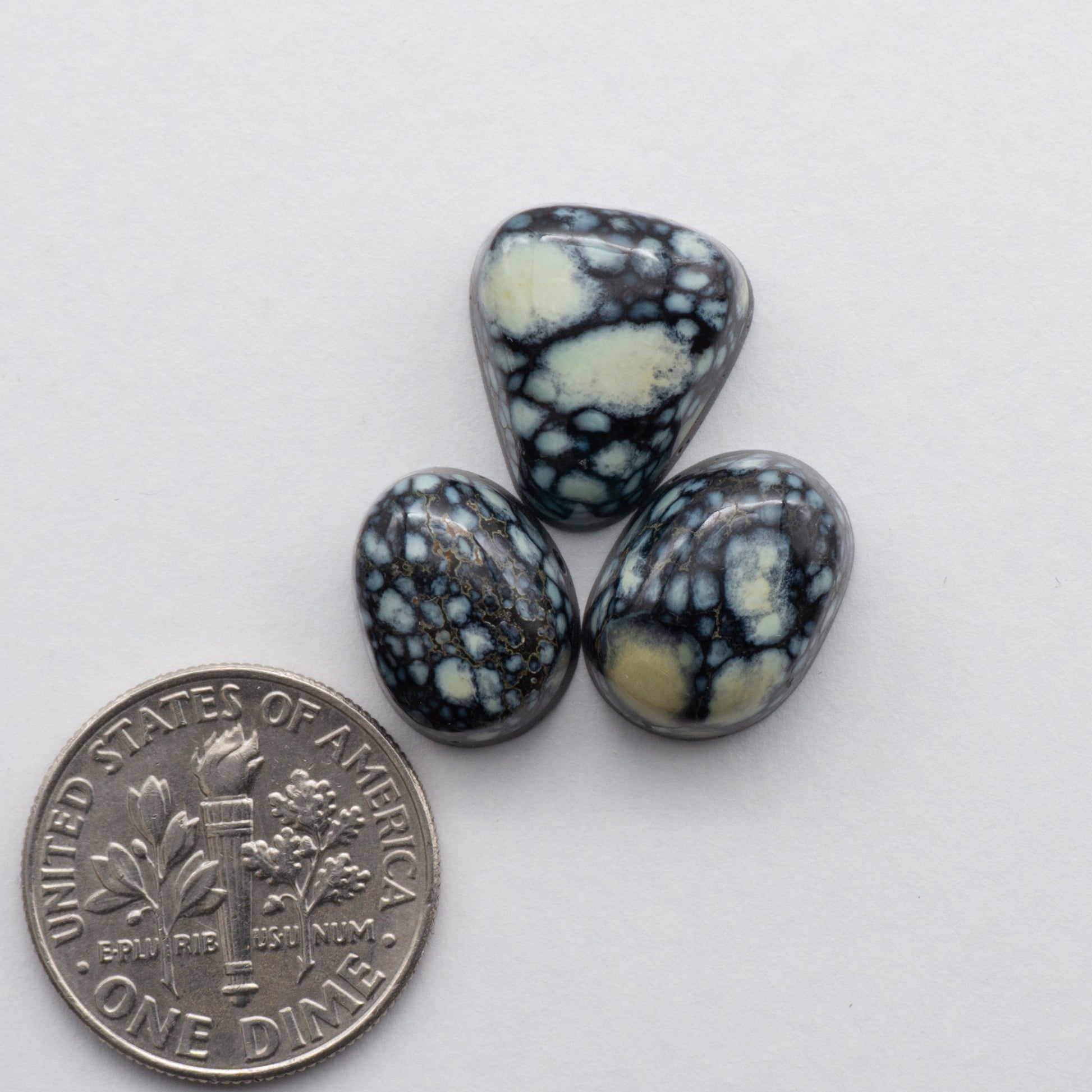 Nevada Variscite Cabochons