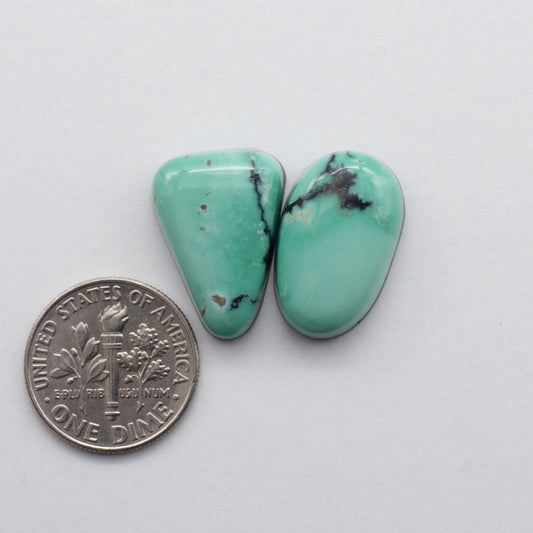 Nevada Variscite Cabochons