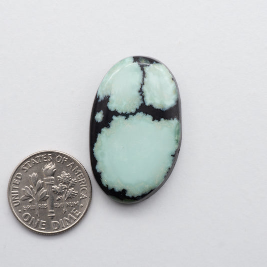 Nevada Variscite Cabochon