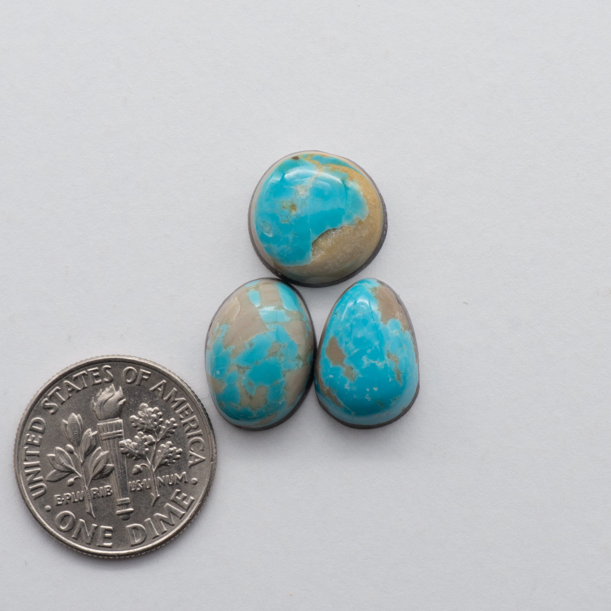 Kings Manassa Turquoise