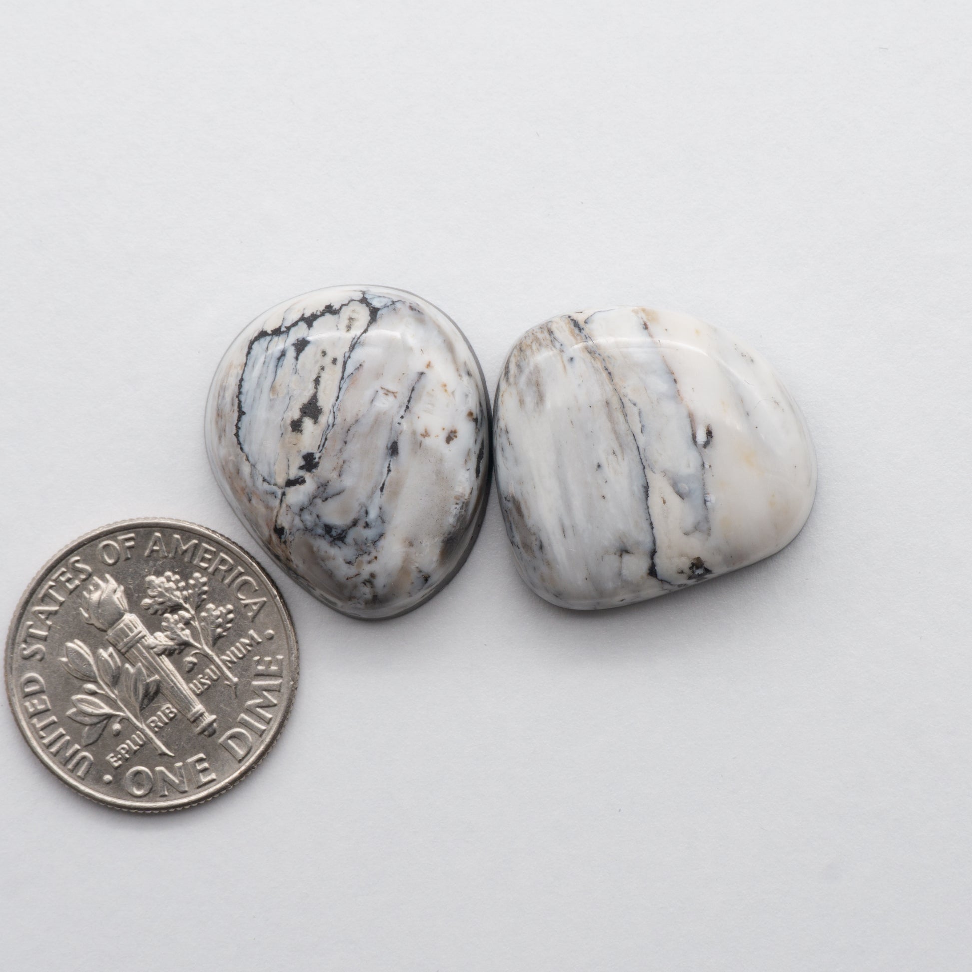 White Buffalo Stone Cabochons