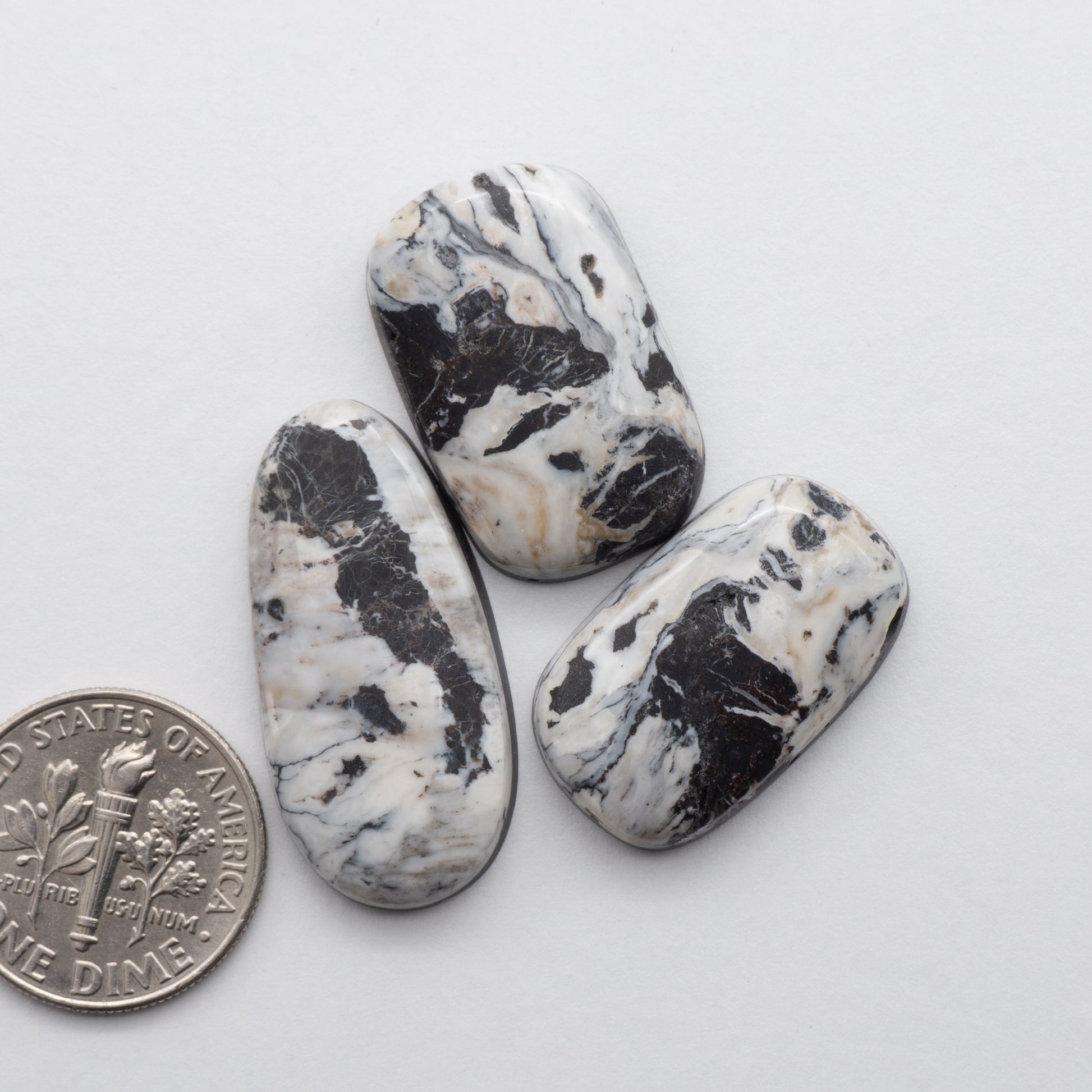 White Buffalo Stone Cabochons