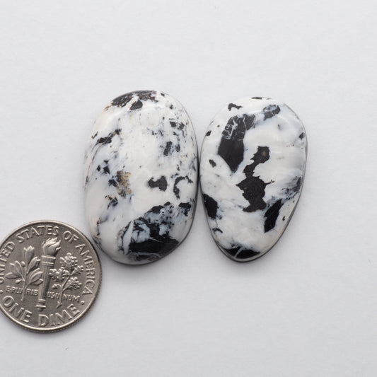 White Buffalo Stone Cabochons