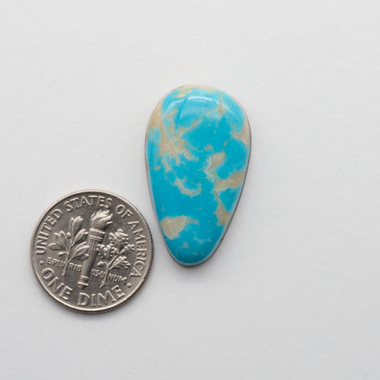 Kings Manassa Turquoise