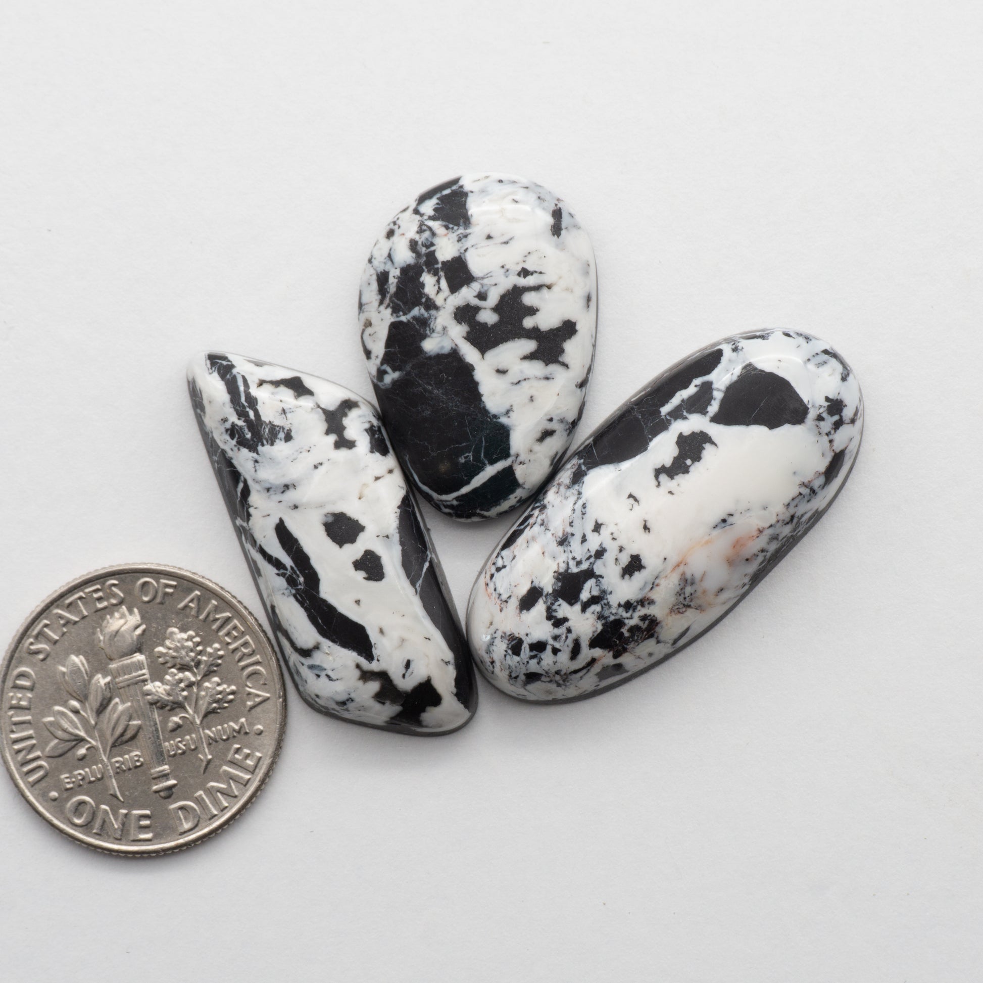 White Buffalo Stone Cabochons